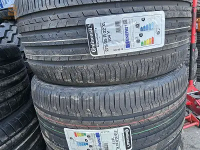 حي موحوس برج الكيفان الجزائر