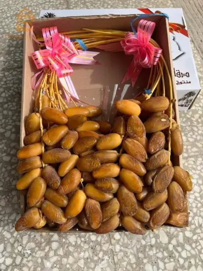 بسكرة طولقة