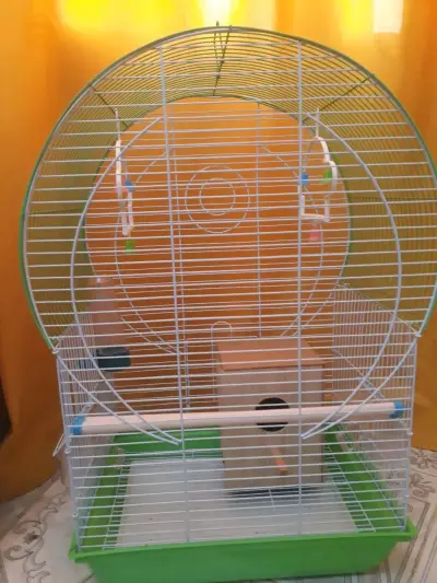 cage d'oiseaux