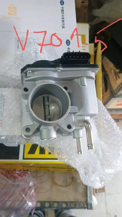 core injection papillon faw v70 1.5
