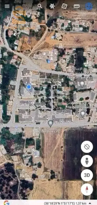 العامرة