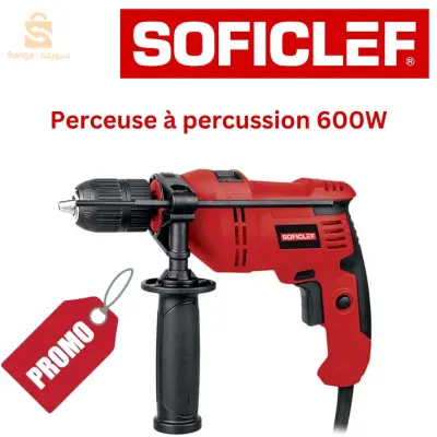 Perceuse à percussion 600W