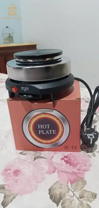 resistance electric inox 500w