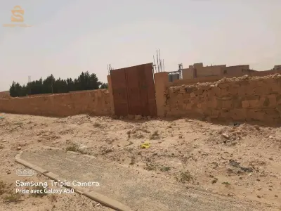 برك للبيع مساحته 1619m² في ولاية النعامة بجانب مطحنة مرابط