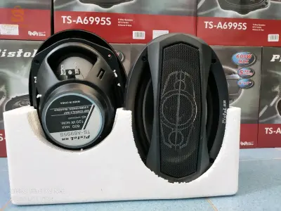 ts pioneer 600W