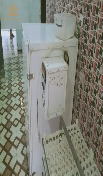 فقاسة دجاج
