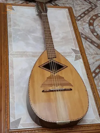 mondol cèdre