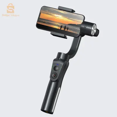 S5B stabilisateur de caméra à cardan 3 axes portatif, pour enregistrement vidéo