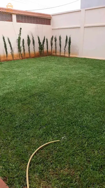 تهيئة وصيانة الحدائق العامة والخاصة