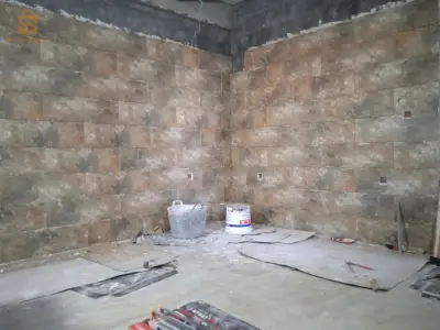 الجزائر ونواحيها