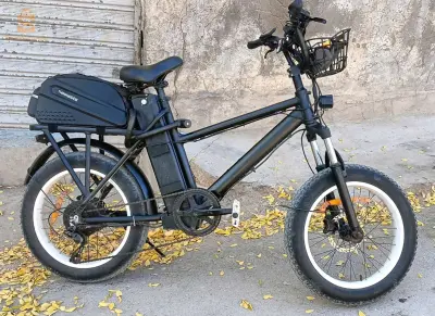 vélo électrique Accélérateur avec une GRANDE batterie