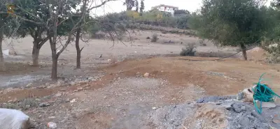 حاي أثار الرومن