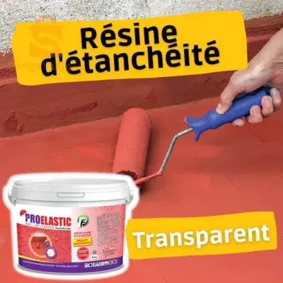 طلاء مانع للتسرب  proelastic 1kg