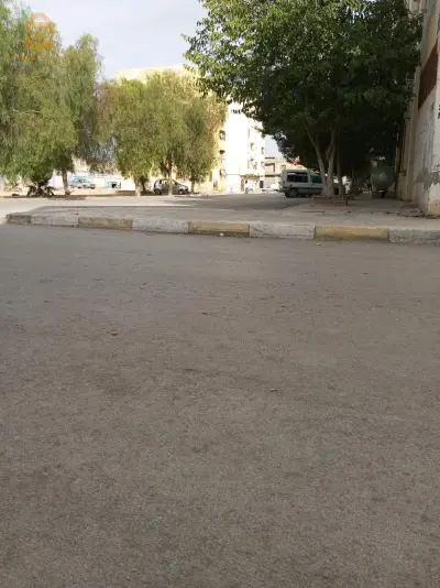 بحث عن عما