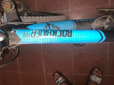 bitwin 24