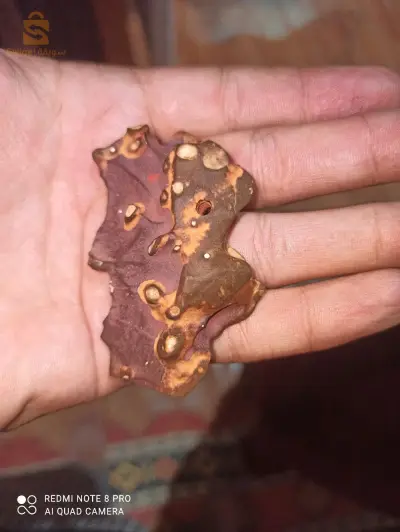 ذهب
