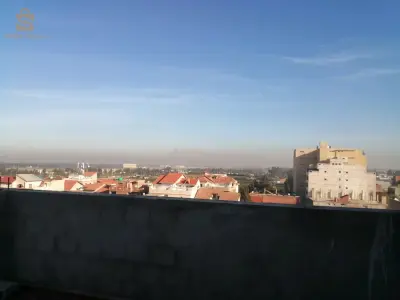 بني مراد
