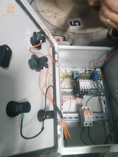 قسنطينة ،المدينة الجديدة، الخروب