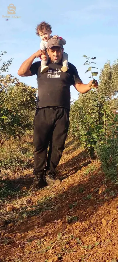 شتلات للبيع نقلة خوخ برقوق رمان من احسن الاصناف