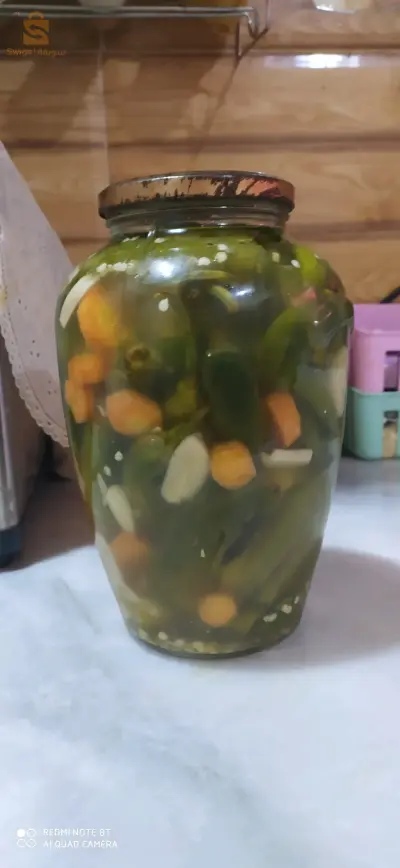 الرمشي