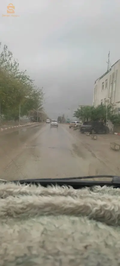 تيبازة