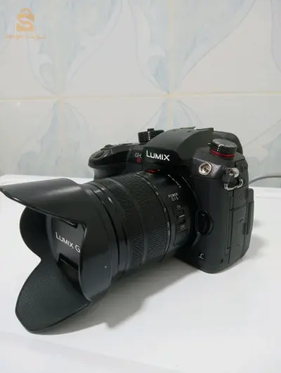 lumix gh5s