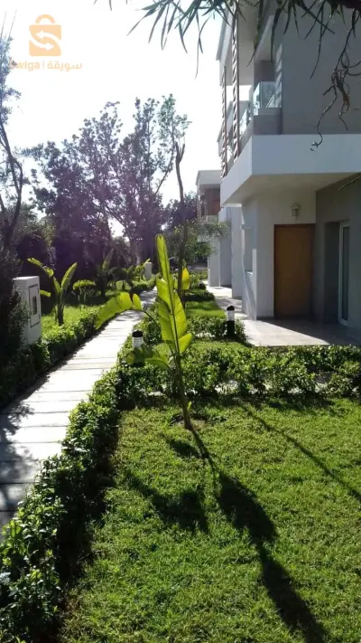 Bienvenue pour tout les travaux jardinage et décoration
Contacter chez nous sur Tél/whatsApp 0772157007/0673169475🌷🌳🌴🌹🌲🌻🌵