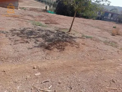 تلمسان