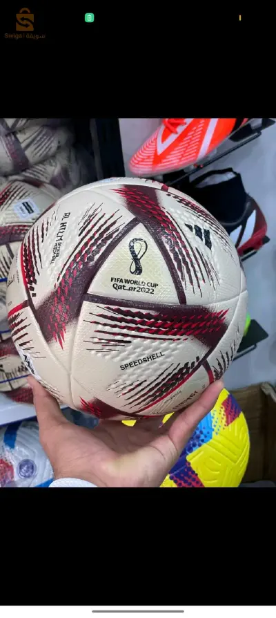 الكاليتوس
