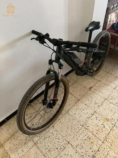 ام البواقي