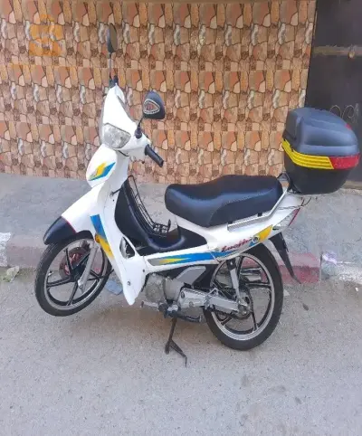 لوجيا