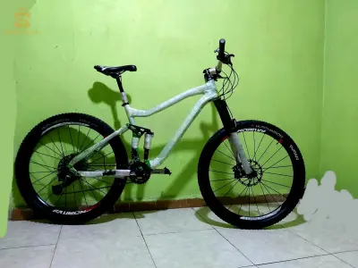 Villo Vario kaktus