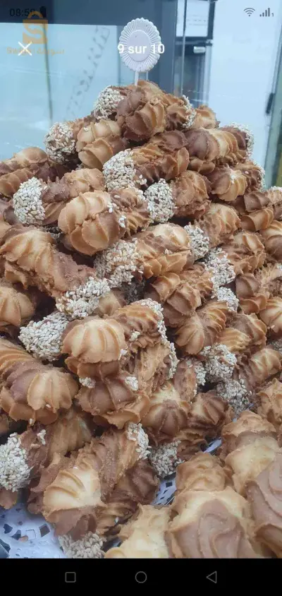قاطو شباب بزاف