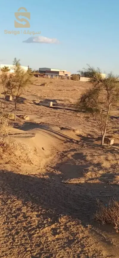 ارض فلاحية