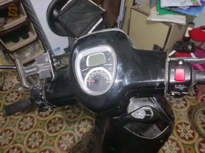 vms panaria