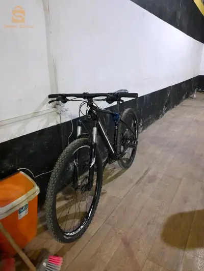 specialized rockhopper expert29