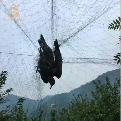 شبكة صيد هوائيّة