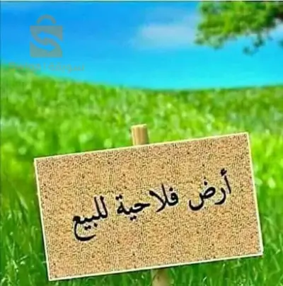 بورقيقة