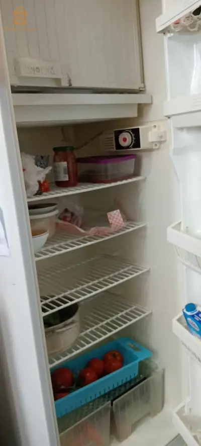 frigider eniem