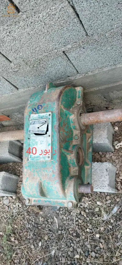 العلمة