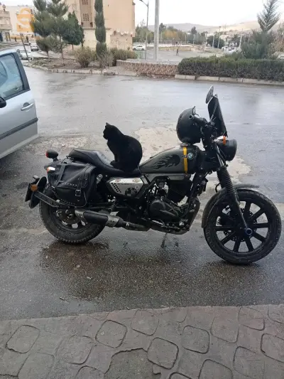 عطاوني فيها 21