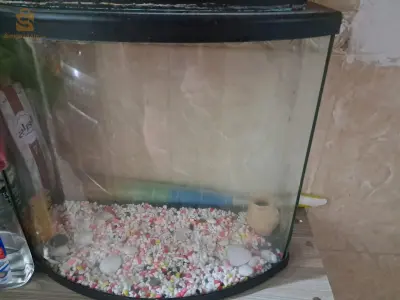 aquarium