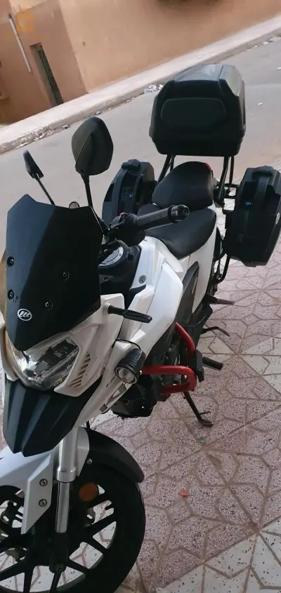 الاغواط