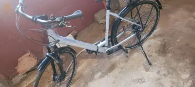Trek + 2 bitwin