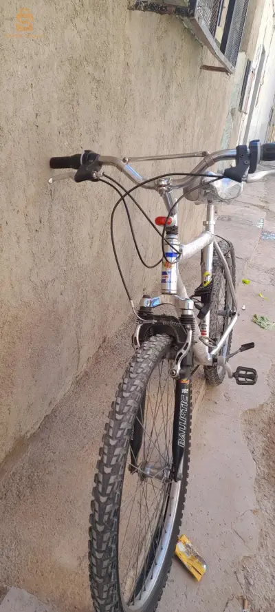 فيلو جديدة