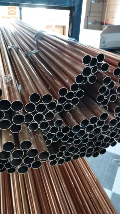 صحراوي شوفاج بللومبري