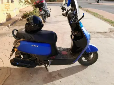 كوكسي