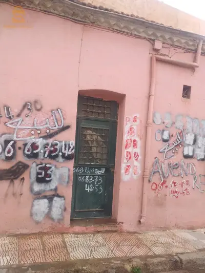 بيوت