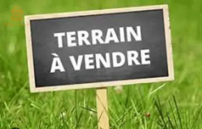 terrain cheraga