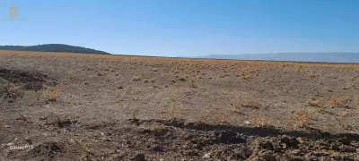 6 hectares agricoles